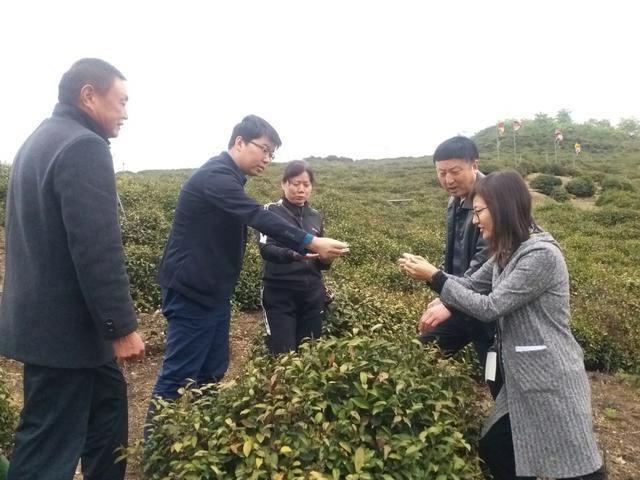 中国科学网 www.minimouse.com.cn