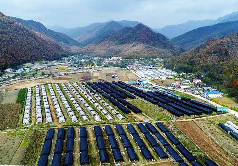 中国科学网 www.minimouse.com.cn
