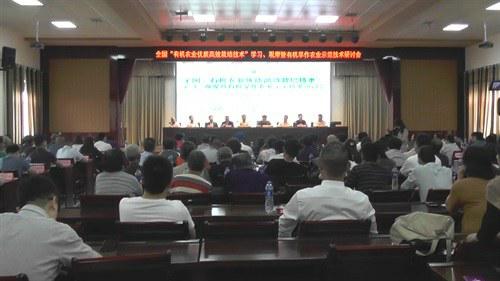 中国科学网 www.minimouse.com.cn
