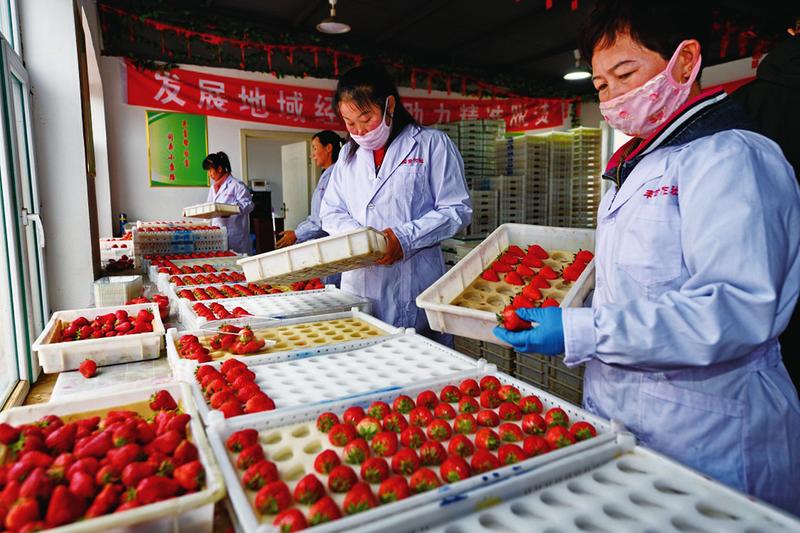 中国科学网 www.minimouse.com.cn