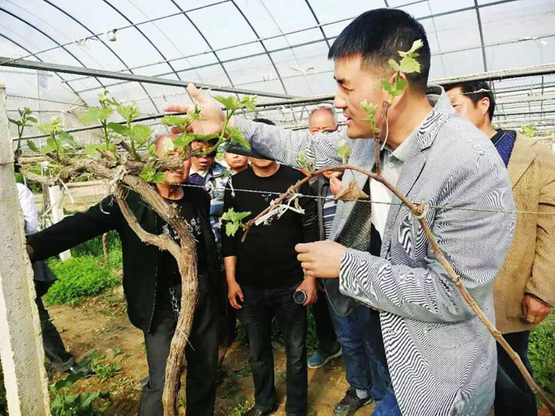 中国科学网 www.minimouse.com.cn