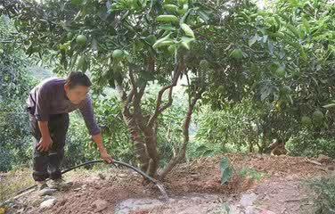 中国科学网 www.minimouse.com.cn