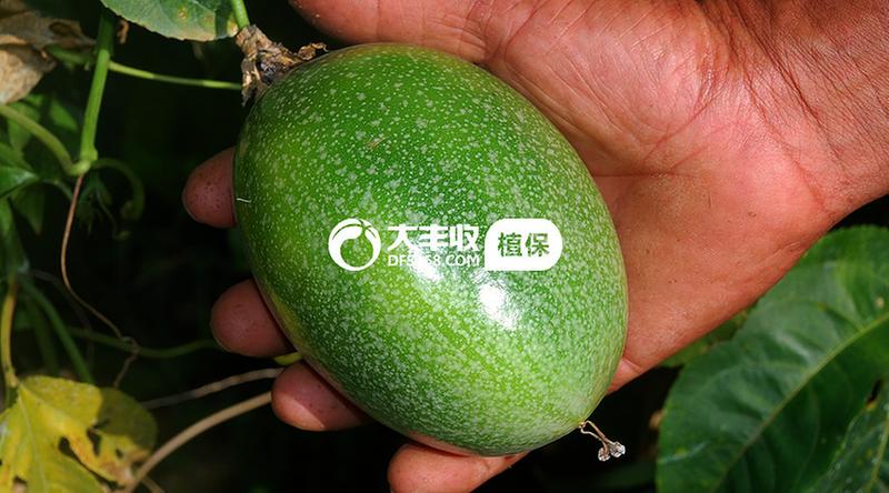 中国科学网 www.minimouse.com.cn