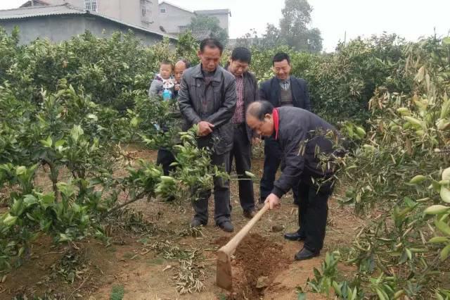 中国科学网 www.minimouse.com.cn