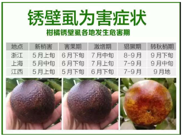 中国科学网 www.minimouse.com.cn