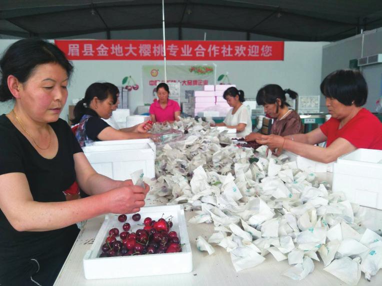 中国科学网 www.minimouse.com.cn