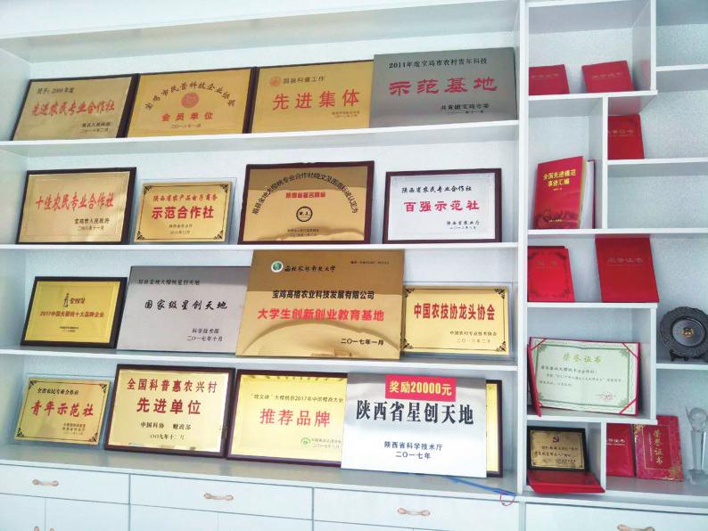 中国科学网 www.minimouse.com.cn