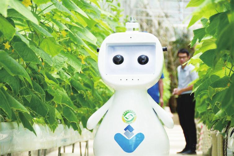 中国科学网 www.minimouse.com.cn