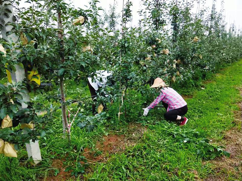 中国科学网 www.minimouse.com.cn