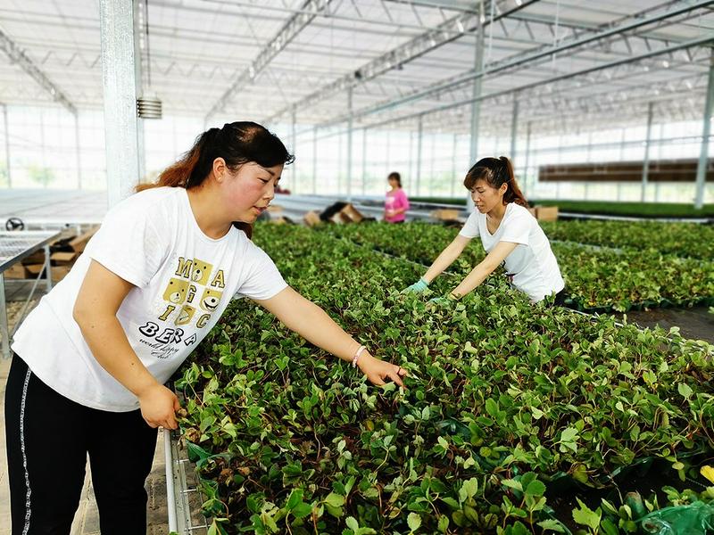 中国科学网 www.minimouse.com.cn