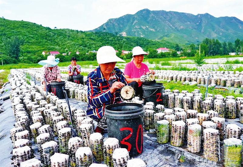 中国科学网 www.minimouse.com.cn