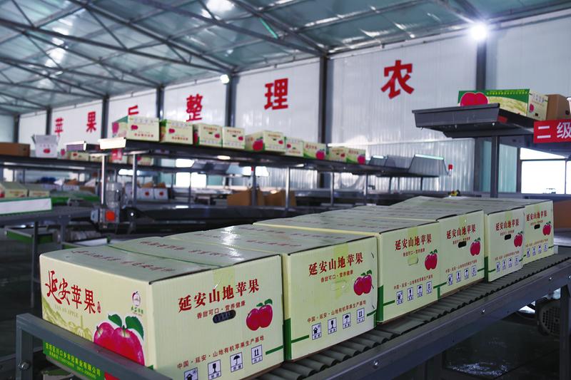 中国科学网 www.minimouse.com.cn