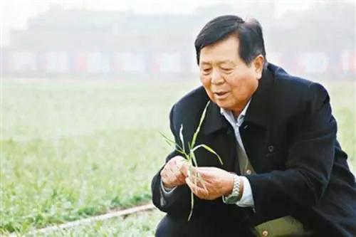 中国科学网 www.minimouse.com.cn