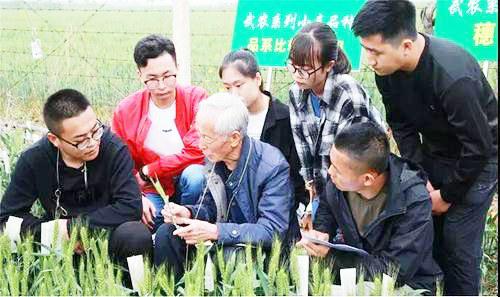 中国科学网 www.minimouse.com.cn