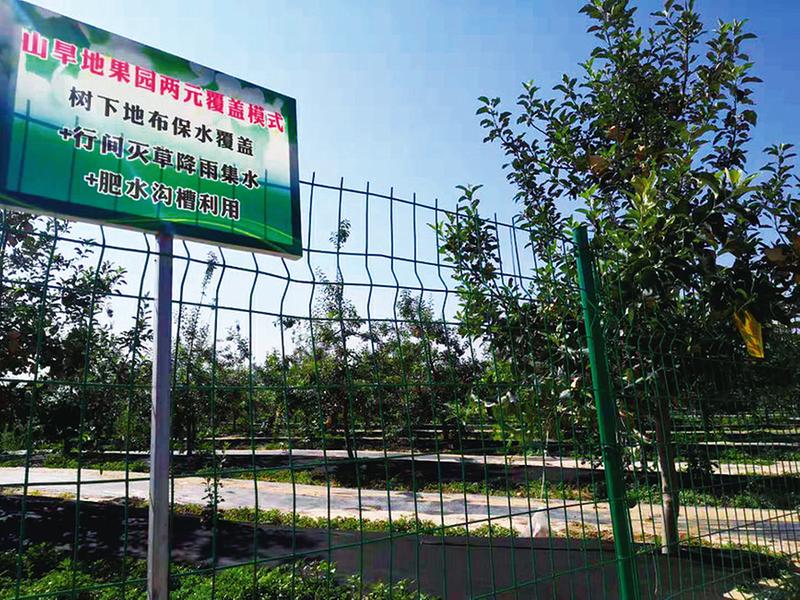 中国科学网 www.minimouse.com.cn