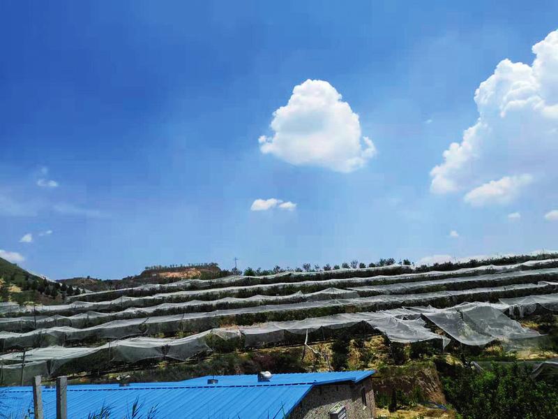 中国科学网 www.minimouse.com.cn