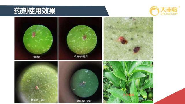 中国科学网 www.minimouse.com.cn