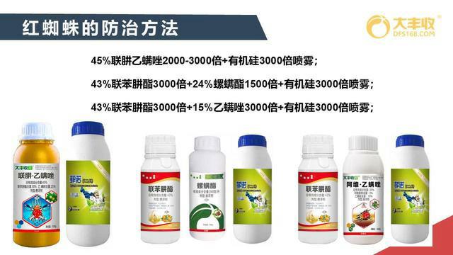 中国科学网 www.minimouse.com.cn