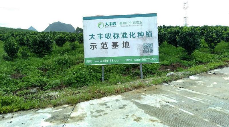 中国科学网 www.minimouse.com.cn