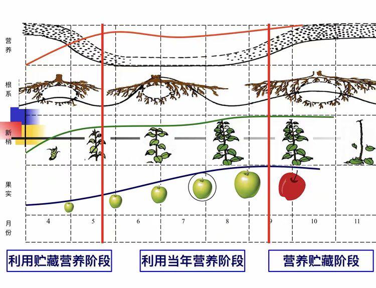 中国科学网 www.minimouse.com.cn