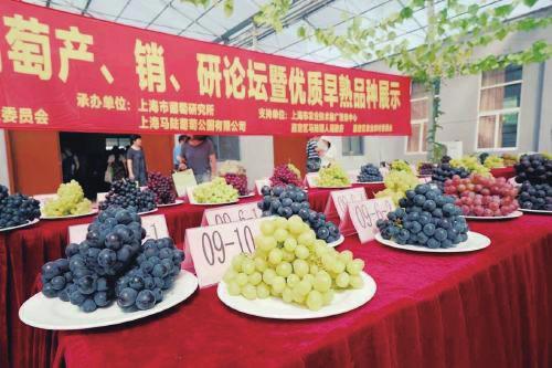 中国科学网 www.minimouse.com.cn