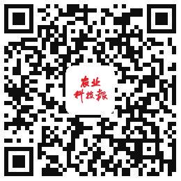 中国科学网 www.minimouse.com.cn