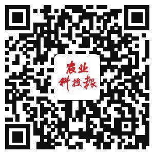 中国科学网 www.minimouse.com.cn