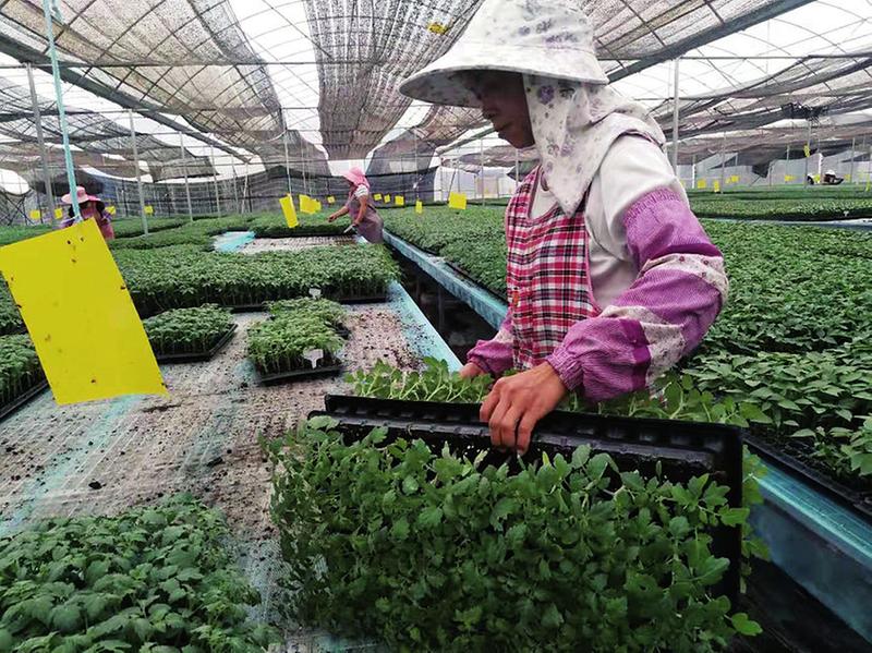中国科学网 www.minimouse.com.cn
