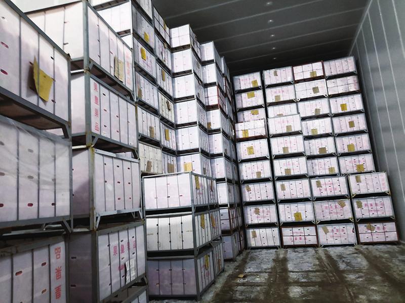 中国科学网 www.minimouse.com.cn