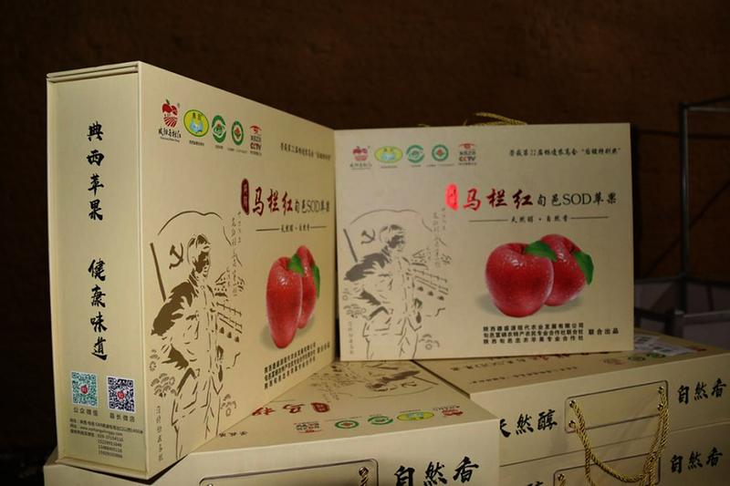 中国科学网 www.minimouse.com.cn