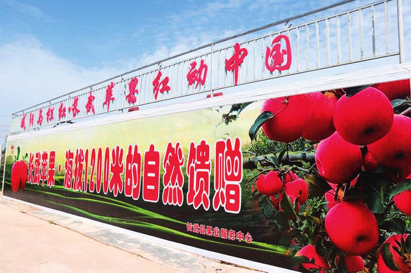 中国科学网 www.minimouse.com.cn