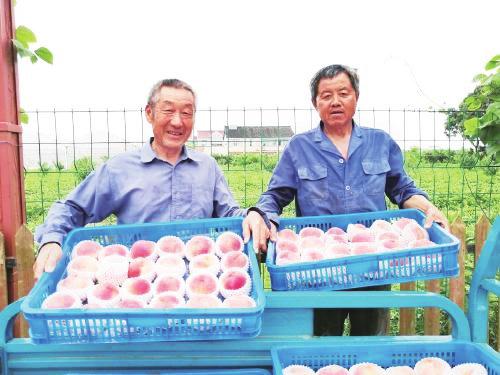 中国科学网 www.minimouse.com.cn