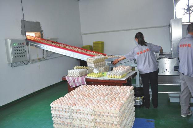 中国科学网 www.minimouse.com.cn