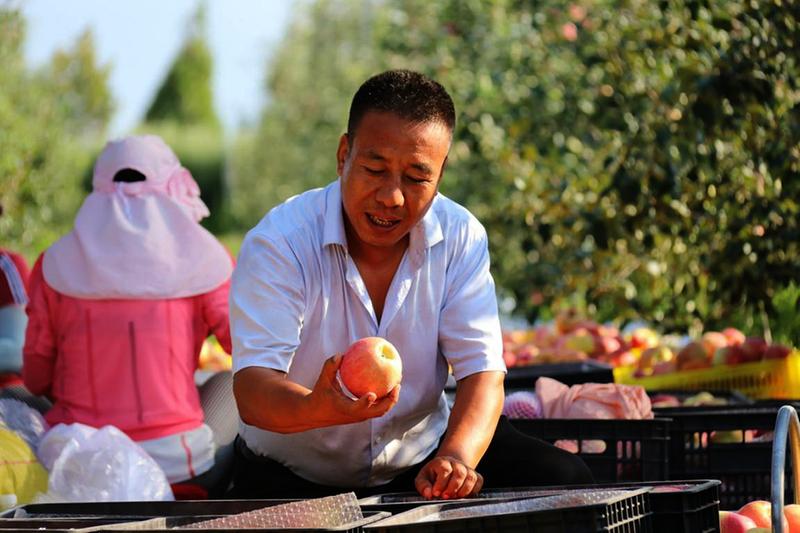 中国科学网 www.minimouse.com.cn
