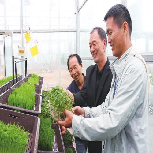 中国科学网 www.minimouse.com.cn