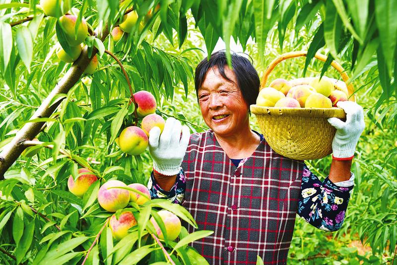 中国科学网 www.minimouse.com.cn