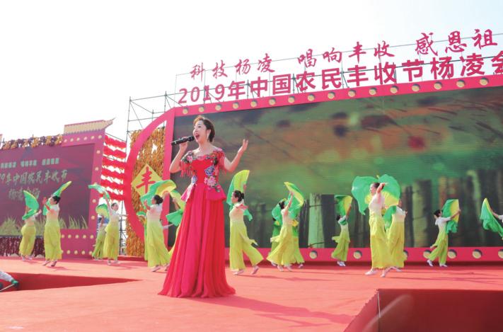 中国科学网 www.minimouse.com.cn