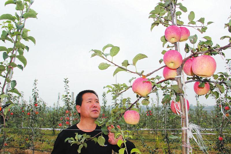 中国科学网 www.minimouse.com.cn