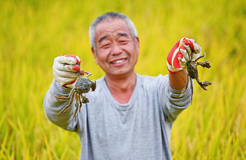 中国科学网 www.minimouse.com.cn