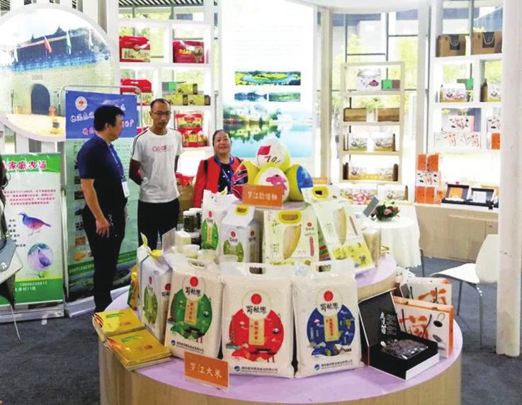 中国科学网 www.minimouse.com.cn