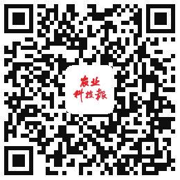 中国科学网 www.minimouse.com.cn