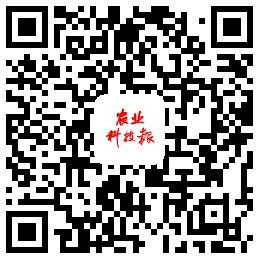 中国科学网 www.minimouse.com.cn