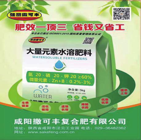 中国科学网 www.minimouse.com.cn