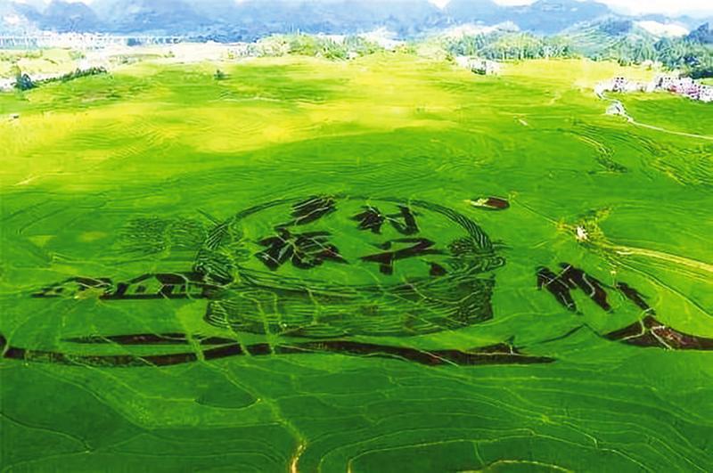 中国科学网 www.minimouse.com.cn