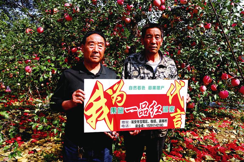 中国科学网 www.minimouse.com.cn