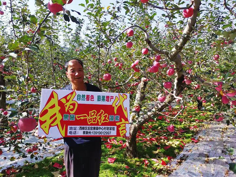 中国科学网 www.minimouse.com.cn