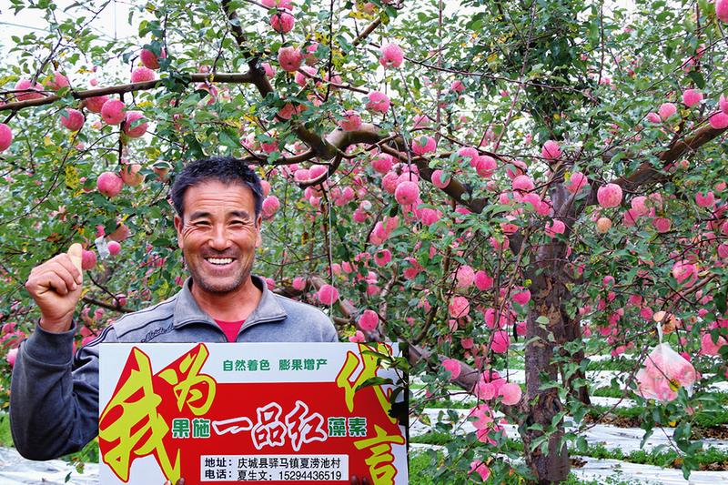中国科学网 www.minimouse.com.cn