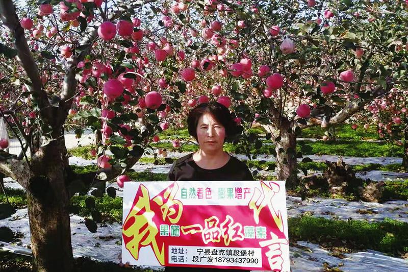 中国科学网 www.minimouse.com.cn