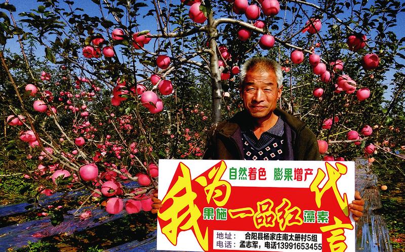 中国科学网 www.minimouse.com.cn