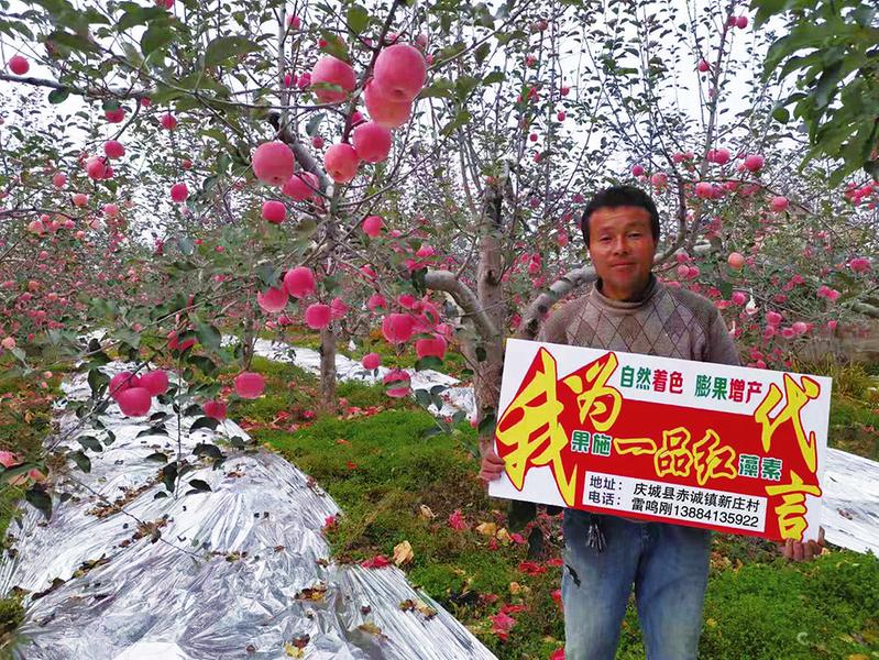 中国科学网 www.minimouse.com.cn